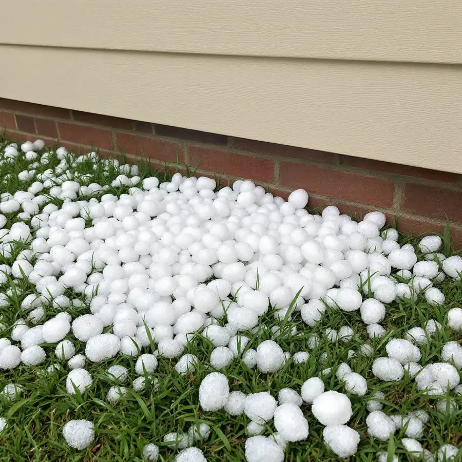 Pile of round white hail in the grass at the foot of a wall with tan lap siding above a brick strip