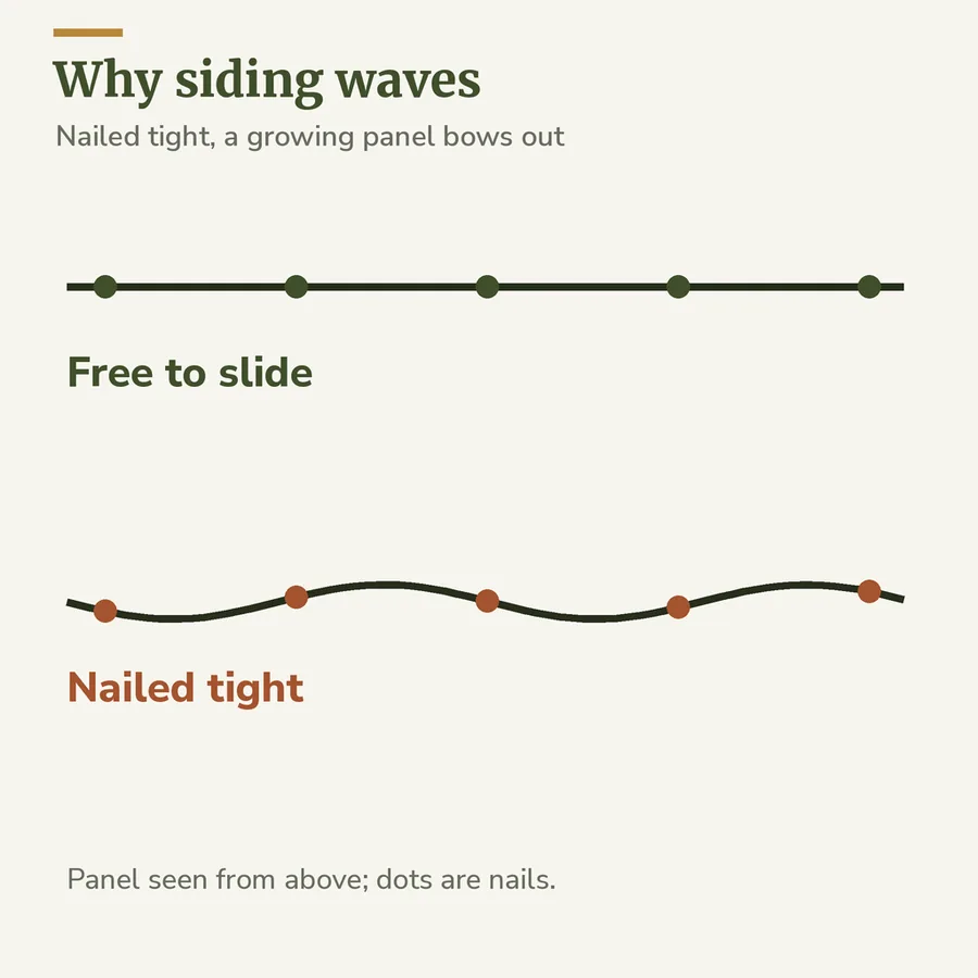 Diagram of vinyl panels seen from above: a straight panel free to slide past its nails, and a panel nailed tight that bows into waves between the nails