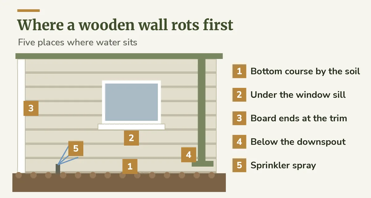 Diagram of a wood sided wall marking where rot starts: the bottom course near soil, under window sills, at board ends beside trim, below a gutter outlet and behind a sprinkler line